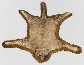 A LATE 19TH/EARLY 20TH CENTURY TAXIDERMY LEOPARD SKIN RUG WITH MOUNTED HEAD (PANTHERA PARDUS)