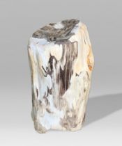 A PETRIFIED WOOD STOOL OR SIDE TABLE, POLISHED. Petrified wood is the result of permineralization