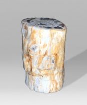 A PETRIFIED WOOD STOOL OR SIDE TABLE, POLISHED. Petrified wood is the result of permineralization