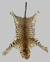 AN EARLY 20TH CENTURY TAXIDERMY INDOCHINESE LEOPARD SKIN RUG (PANTHERA PARDUS DELACOURI).