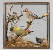 ROWLAND WARD, A LATE 19TH CENTURY TAXIDERMY DIORAMA OF BRITISH BIRDS. (h 43cm x w 40cm x d 22cm)