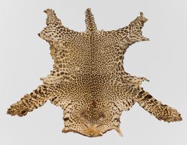 A LATE 19TH CENTURY TAXIDERMY LEOPARD SKIN RUG (PANTHERA PARDUS). Provenance: Vendor acquired item