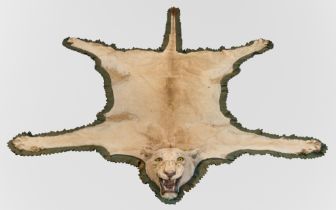 ROWLAND WARD, A LATE 19TH CENTURY TAXIDERMY LIONESS SKIN RUG WITH MOUNTED HEAD (PANTHERA LEO). (