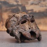 A monkey skull,