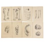 A collection of eight anatomical etchings,