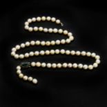 A single row uniform round cultured pearl necklace,