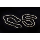 A single row uniform semi-baroque cultured pearl necklace,