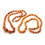 A single row graduated butter-scotch amber bead necklace,