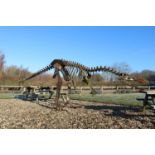 A large dinosaur skeleton sculpture,