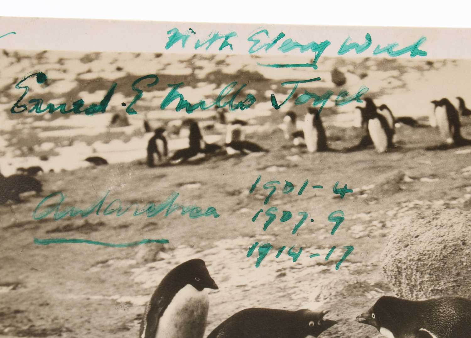 Two signed Antarctic expedition postcards - Image 5 of 5