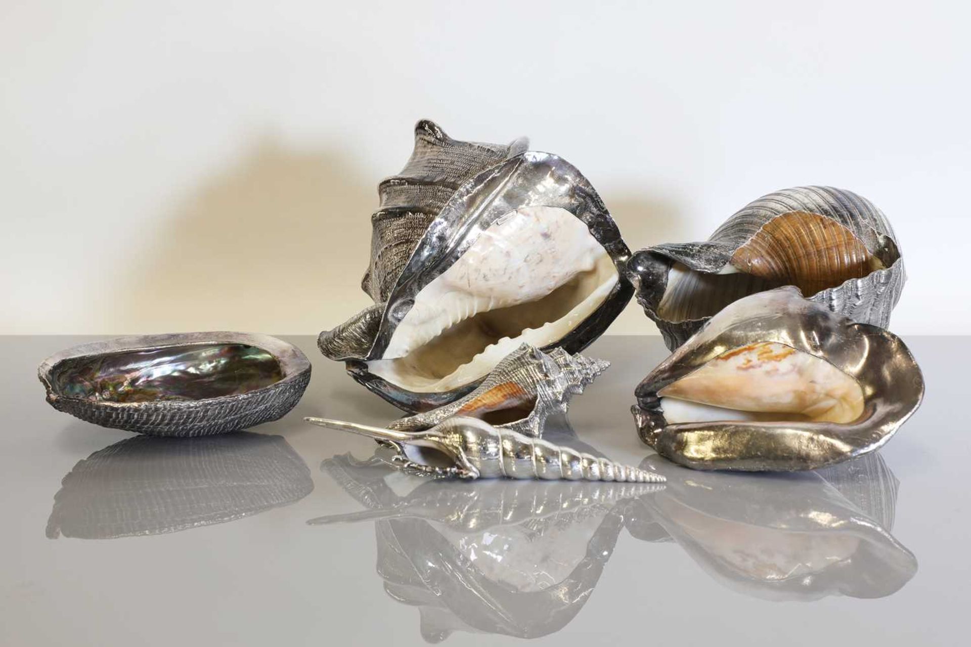 Six Italian silver-mounted shells, - Bild 2 aus 8