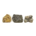 A group of three fossil formations