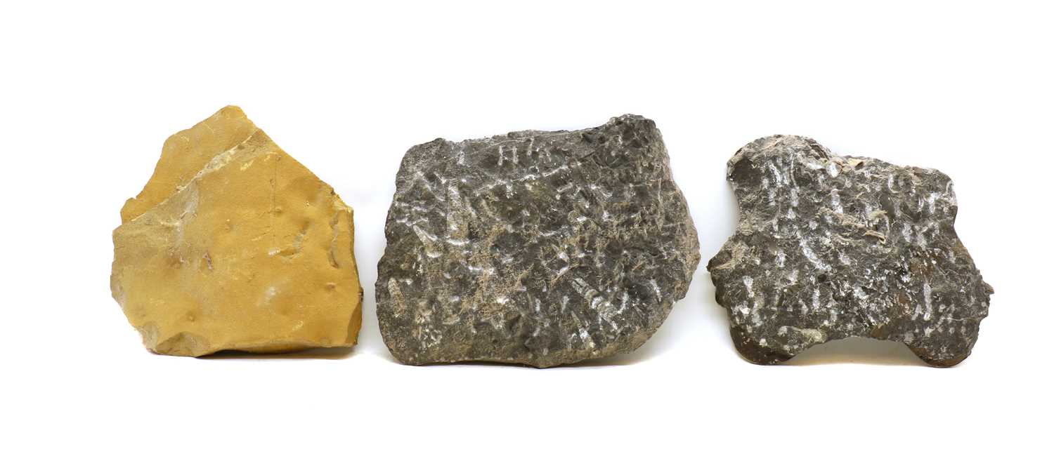 A group of three fossil formations - Image 2 of 2