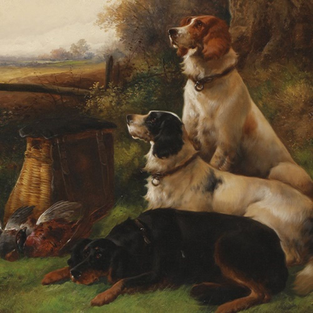 Sporting Art, Wildlife and Dogs