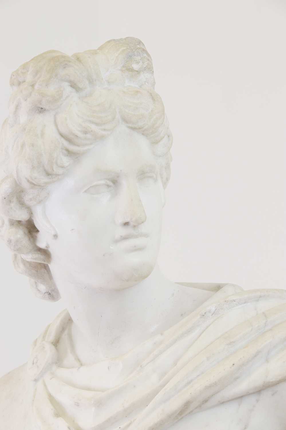 A carved marble and composition bust of Apollo Belvedere, - Image 5 of 9