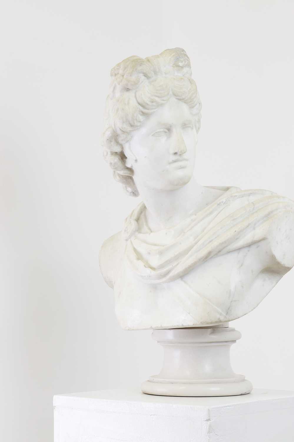 A carved marble and composition bust of Apollo Belvedere, - Image 9 of 9