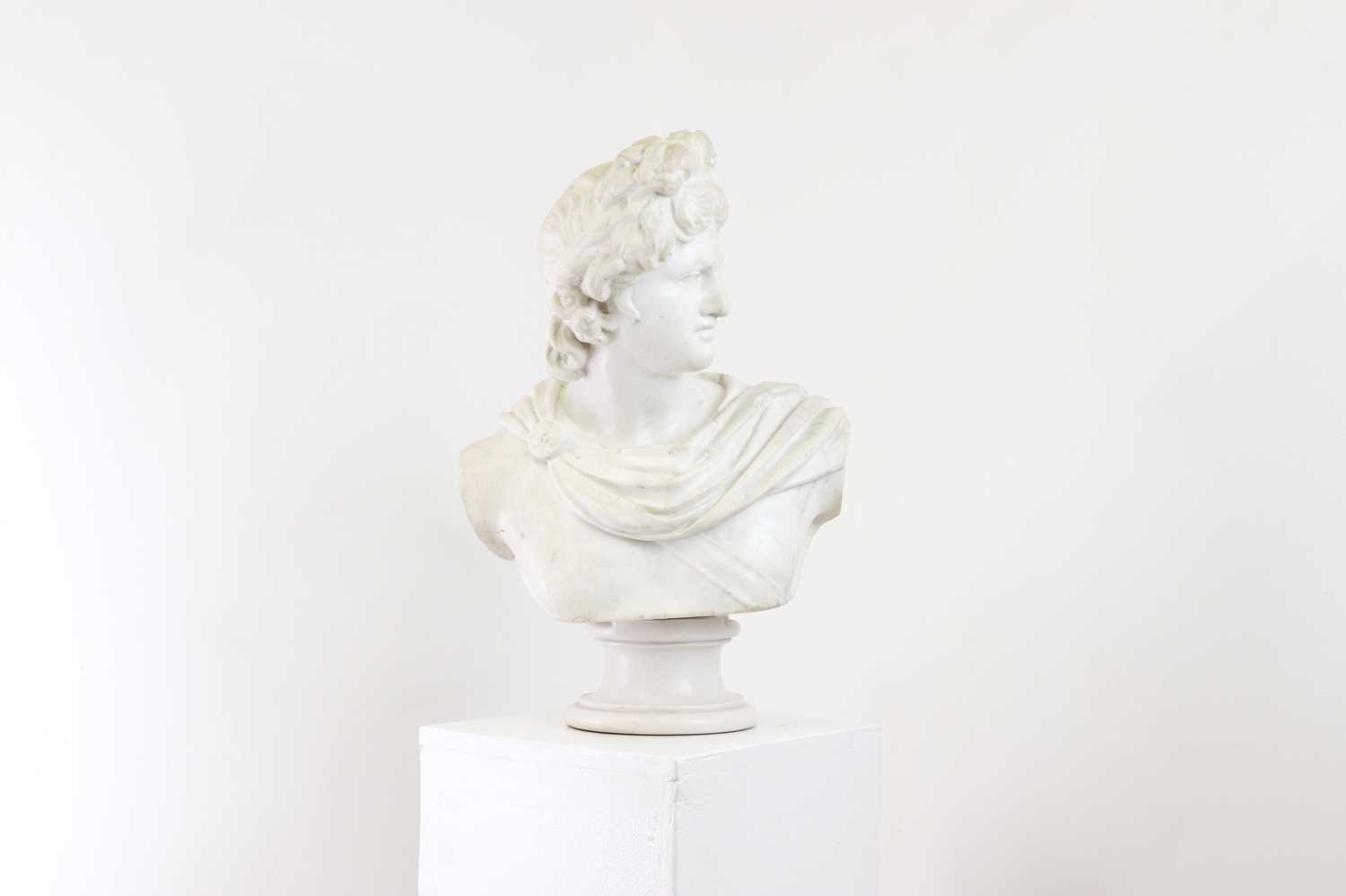 A carved marble and composition bust of Apollo Belvedere,