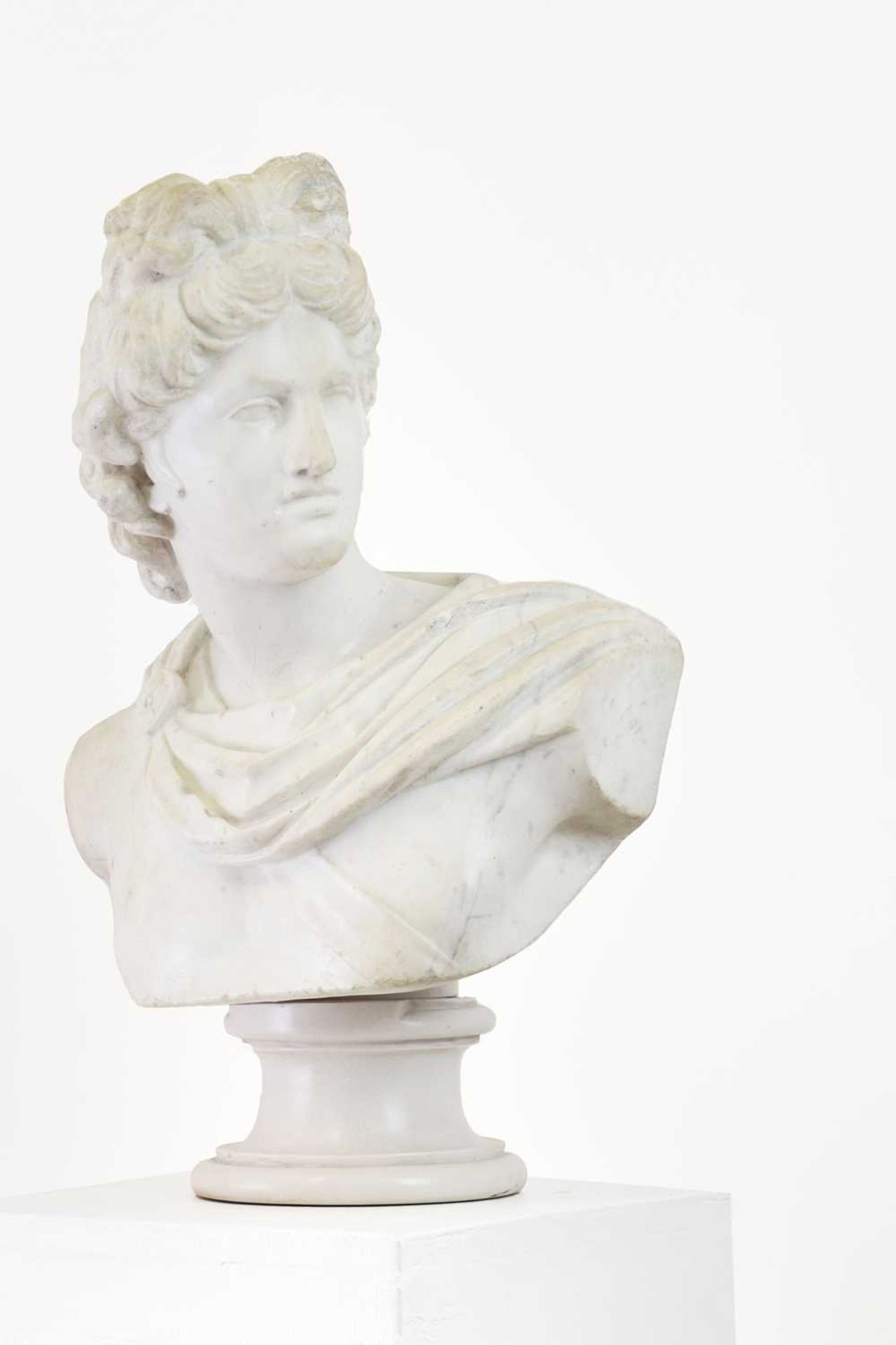 A carved marble and composition bust of Apollo Belvedere, - Image 2 of 9