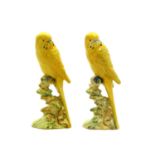 A pair of Beswick pottery Yellow Budgie figures,