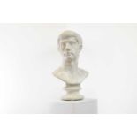 A plaster bust after the antique,