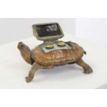 A taxidermy tortoise inkwell,