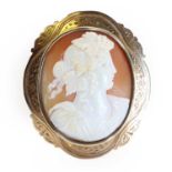 A gold mounted Victorian shell cameo brooch,