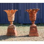 A pair of cast iron urns on stands