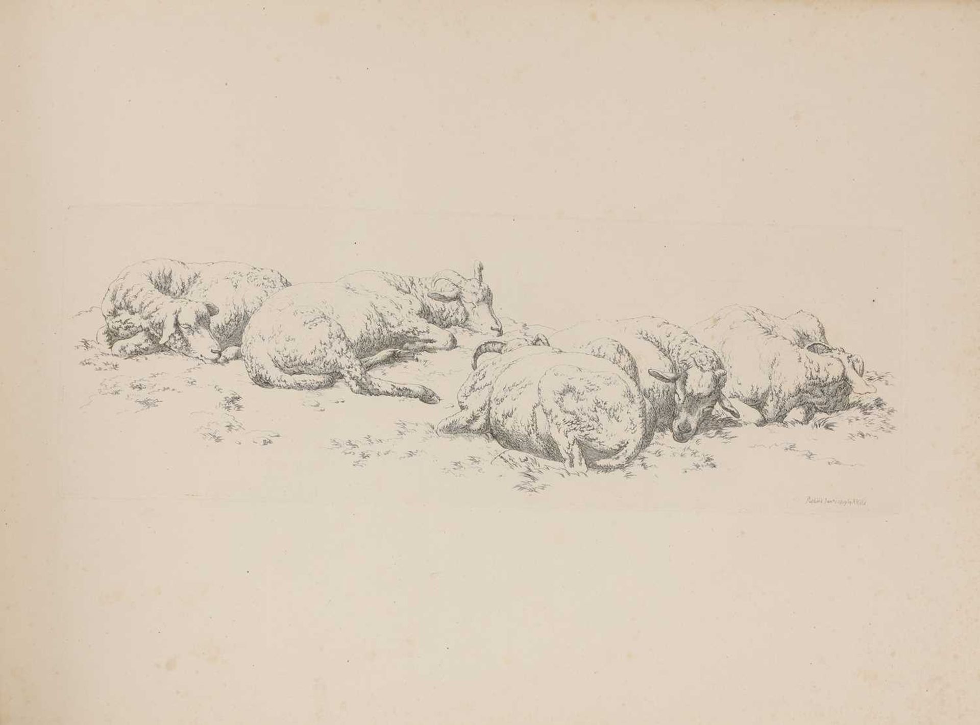 HILLS, Robert (1769 - 1844): - Bild 6 aus 11