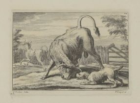 Engravings of Animals: