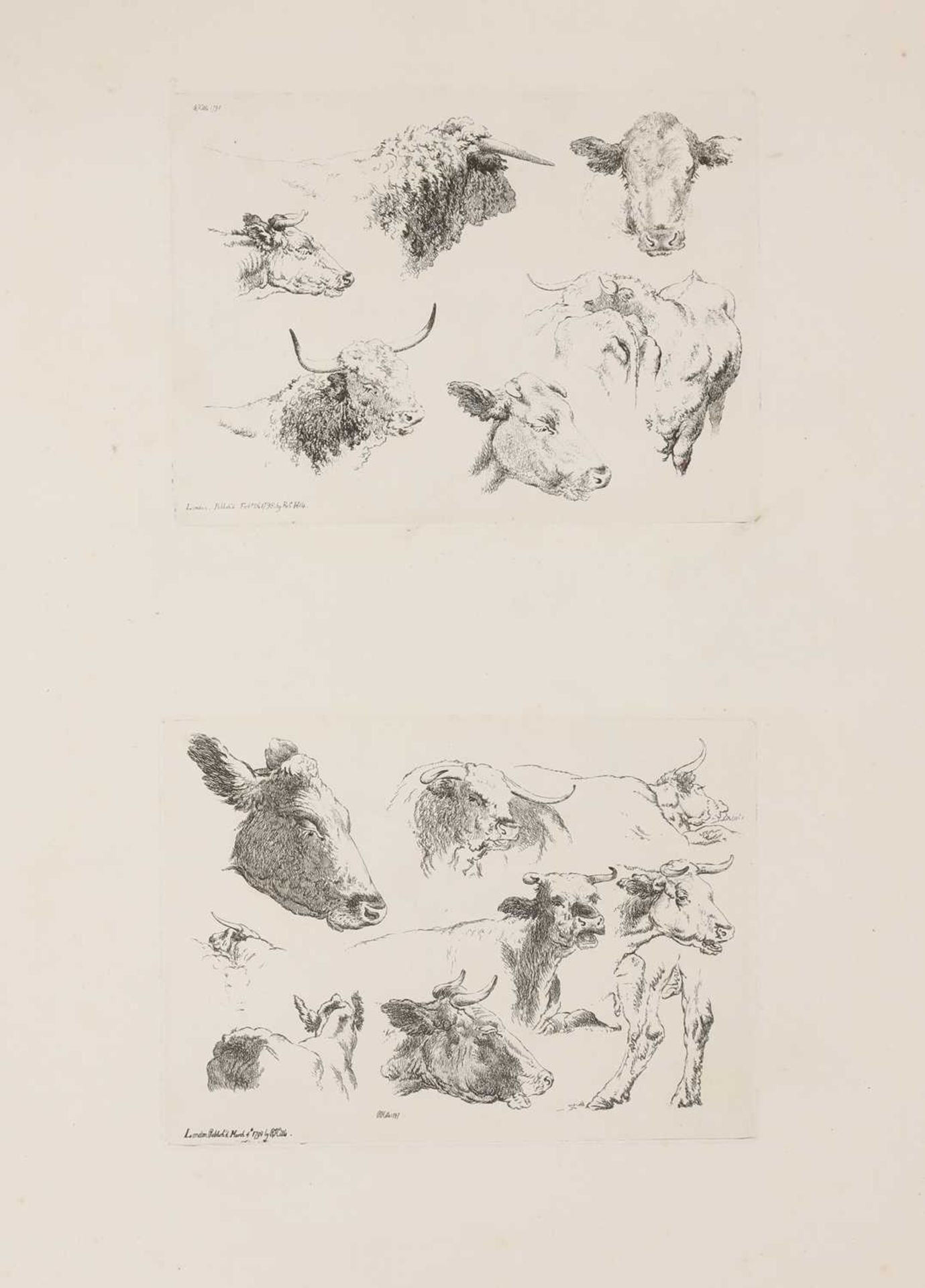 HILLS, Robert (1769 - 1844): - Bild 3 aus 11