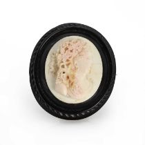 A Victorian jet and shell cameo brooch,