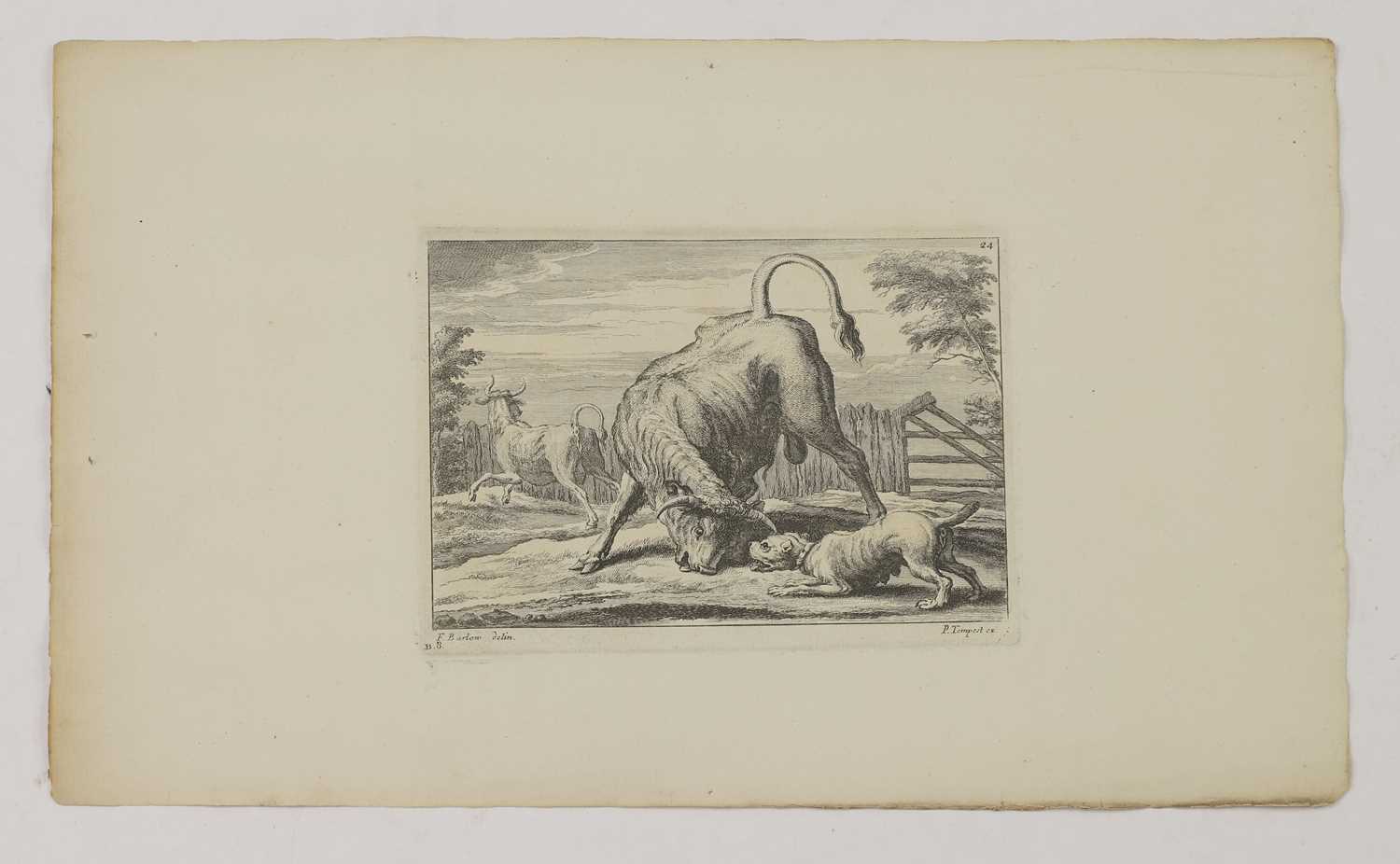 A group of engravings of animals: - Image 10 of 10