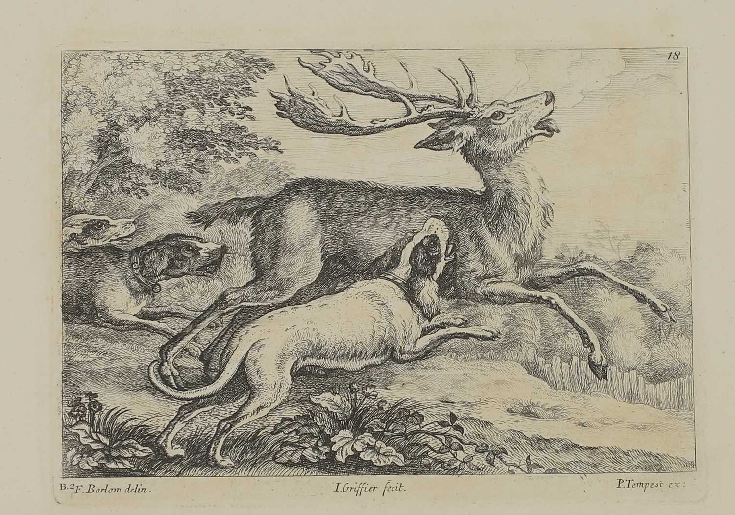A group of engravings of animals: - Image 6 of 10