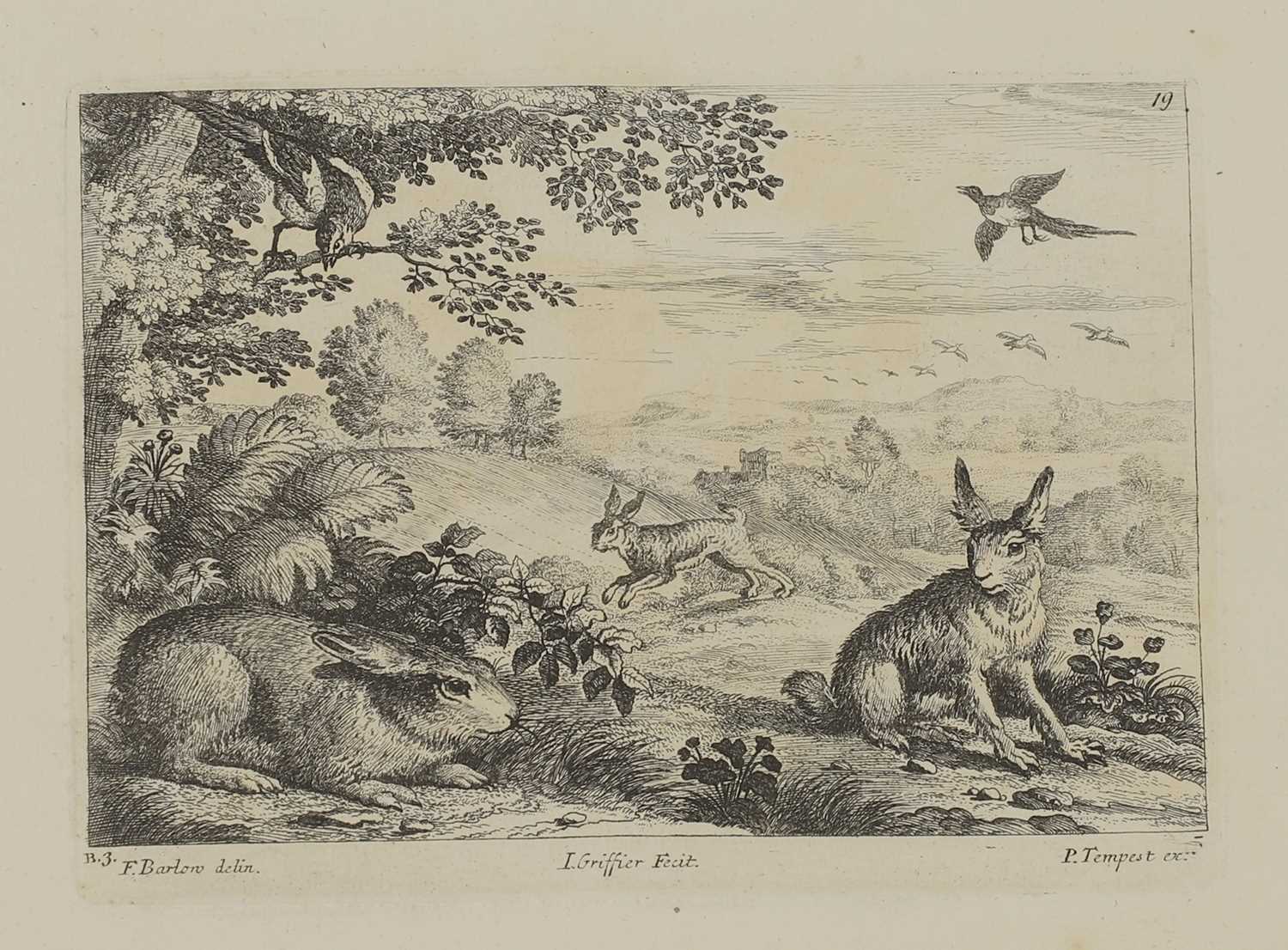 A group of engravings of animals: - Image 7 of 10