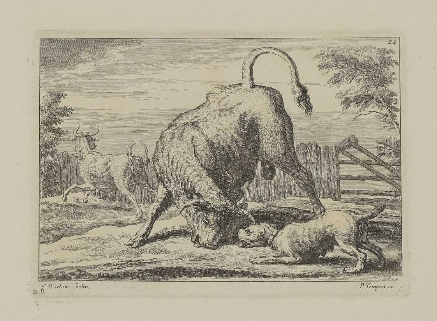 A group of engravings of animals: - Image 3 of 10