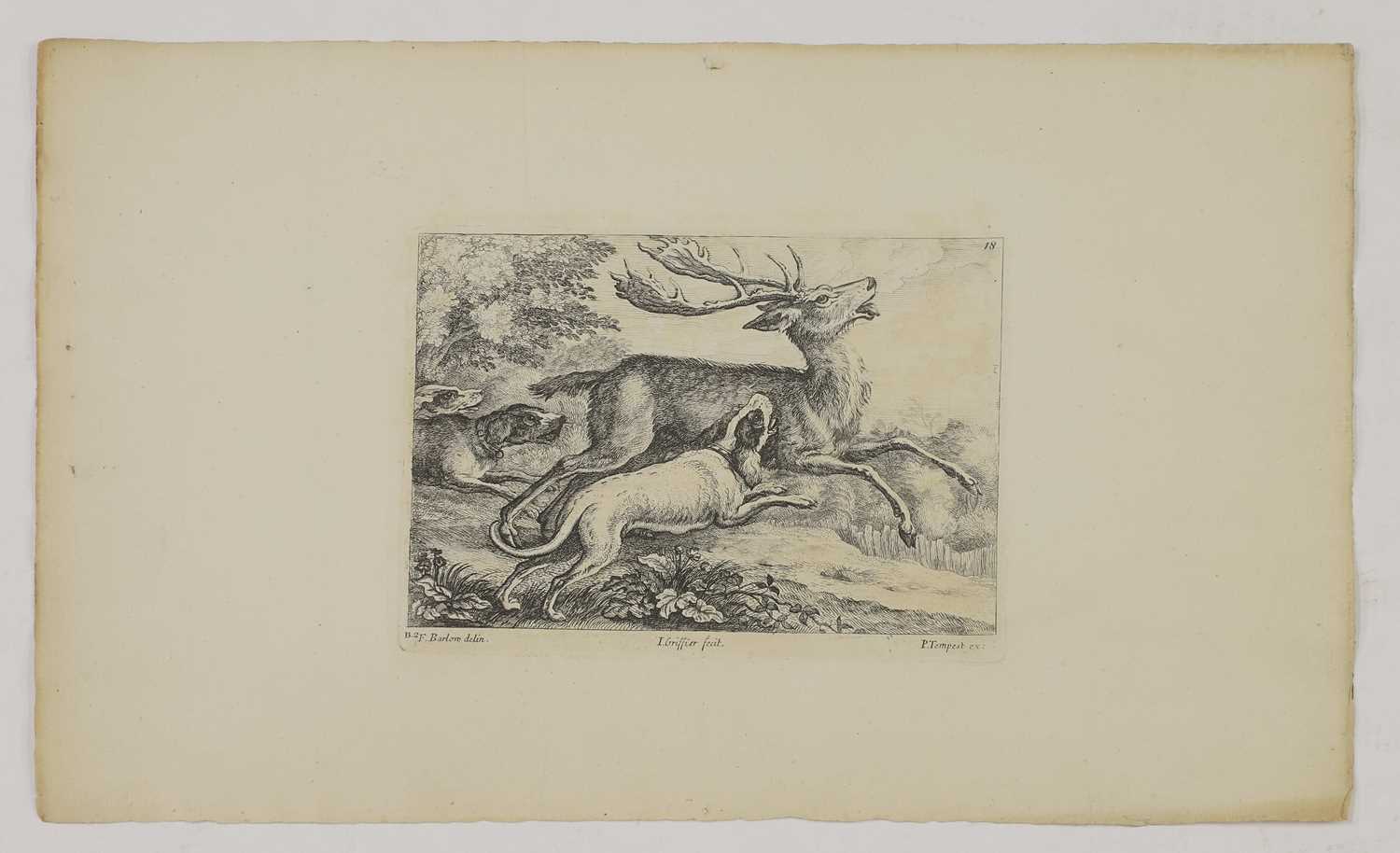A group of engravings of animals: - Image 5 of 10