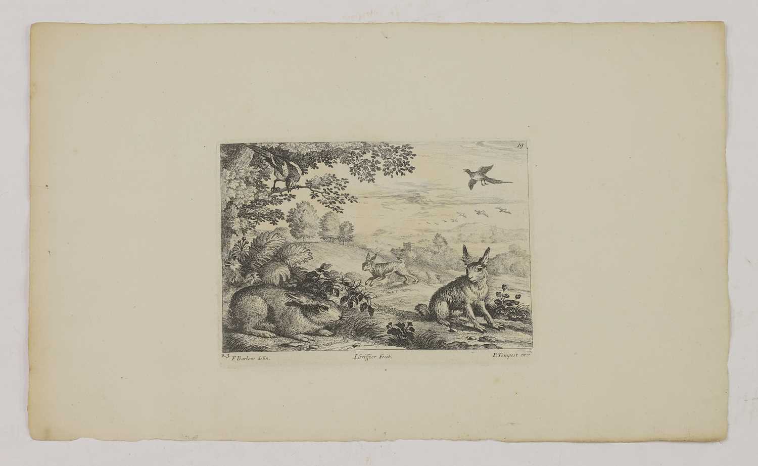 A group of engravings of animals: - Image 8 of 10