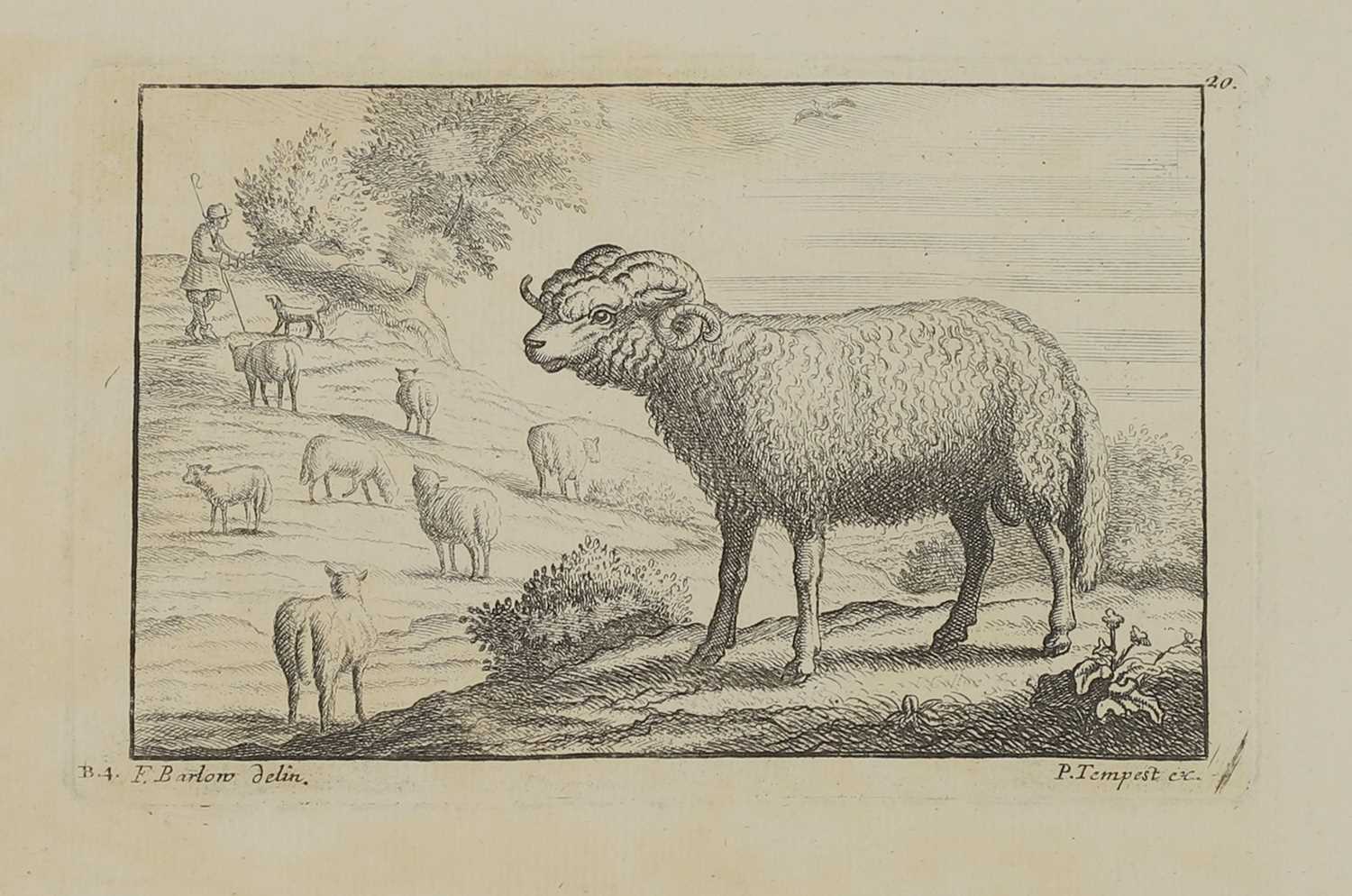 A group of engravings of animals: - Image 4 of 10