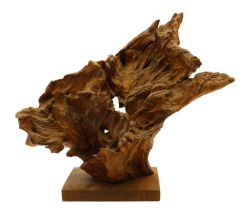 An oak wood specimen