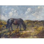 STEPHEN WALKER (20th century) - oil on artist's board, 'Ponies Amongst the Gorse', signed lower