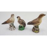 Two 19th century hand-decorated hard-paste porcelain models of mistle thrushes (possibly