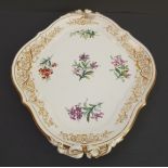 A 19th century two-handled, lozenge-shaped ceramic Worcester tray: the border gilt-decorated with