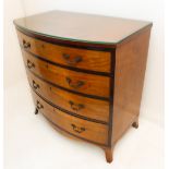 A late 18th century bow-fronted satinwood and rosewood crossbanded chest: the four full-width