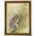 MIKE NANCE - oil on artist's board, study of a Tawney owl upon a tree trunk, signed Nance lower