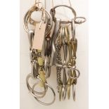 An assortment of 10 horse bits