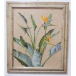 VERONICA BURLEIGH (1909-1998) - Botanical oil on canvas, signed lower right (59 x 49 cm). (Painted