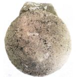 A Cotswold staddle-stone with circular top. (The top approx. 53 cm in diameter)