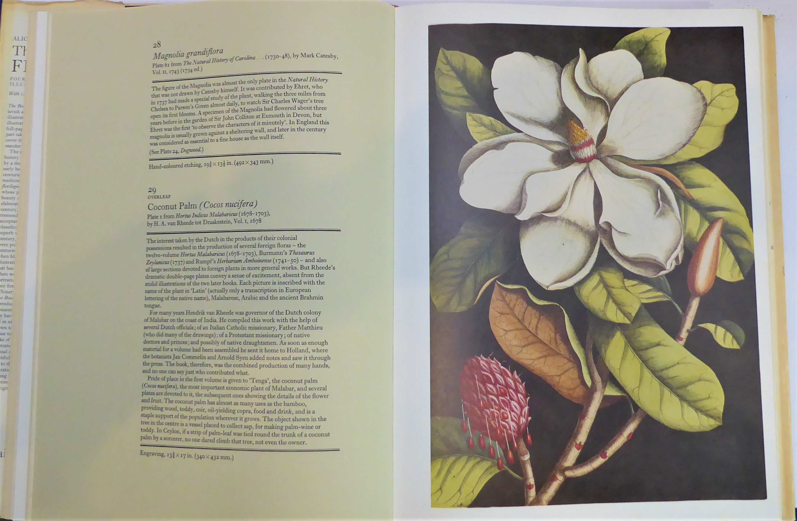 25 books on flowers, gardens and cookery including: Alice M. Coats - 'The Book of Flowers' (Phaidon, - Image 3 of 4