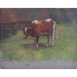 DOUGLAS -  'Cow Before Buildings', oil on canvas, (35.5 x 46 cm). Label, pertaining to the artist,