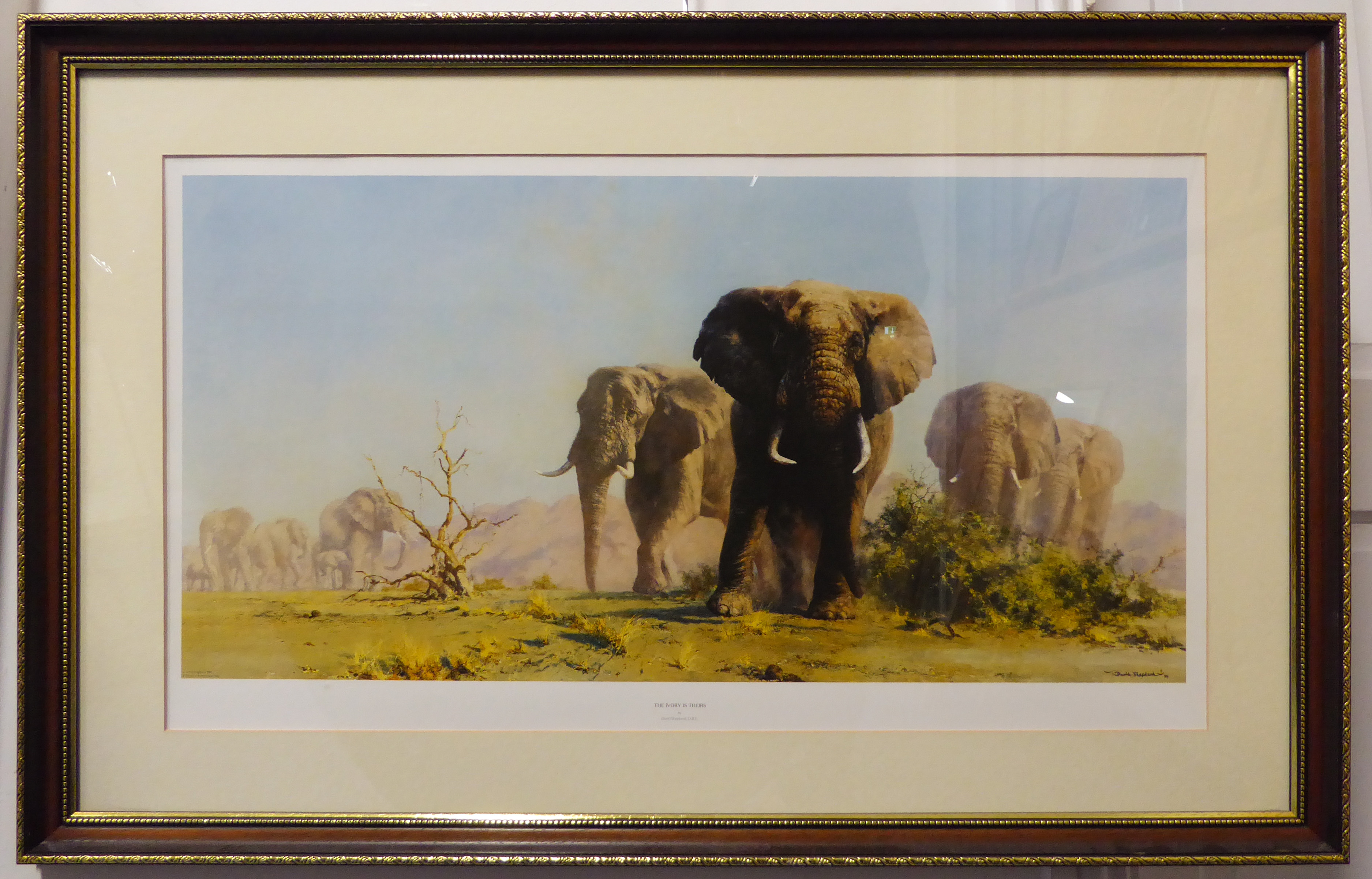 After David Shepherd - 'The Ivory is Ours', colour print (43 x 78 cm). (Parcel-gilt frame 62 x 98